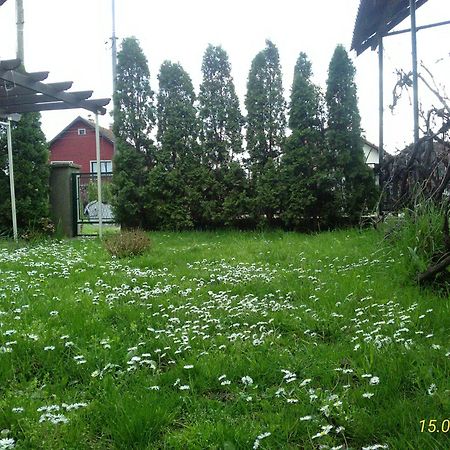 Kuca Za Odmor Jelena Apartment Kladovo Bagian luar foto