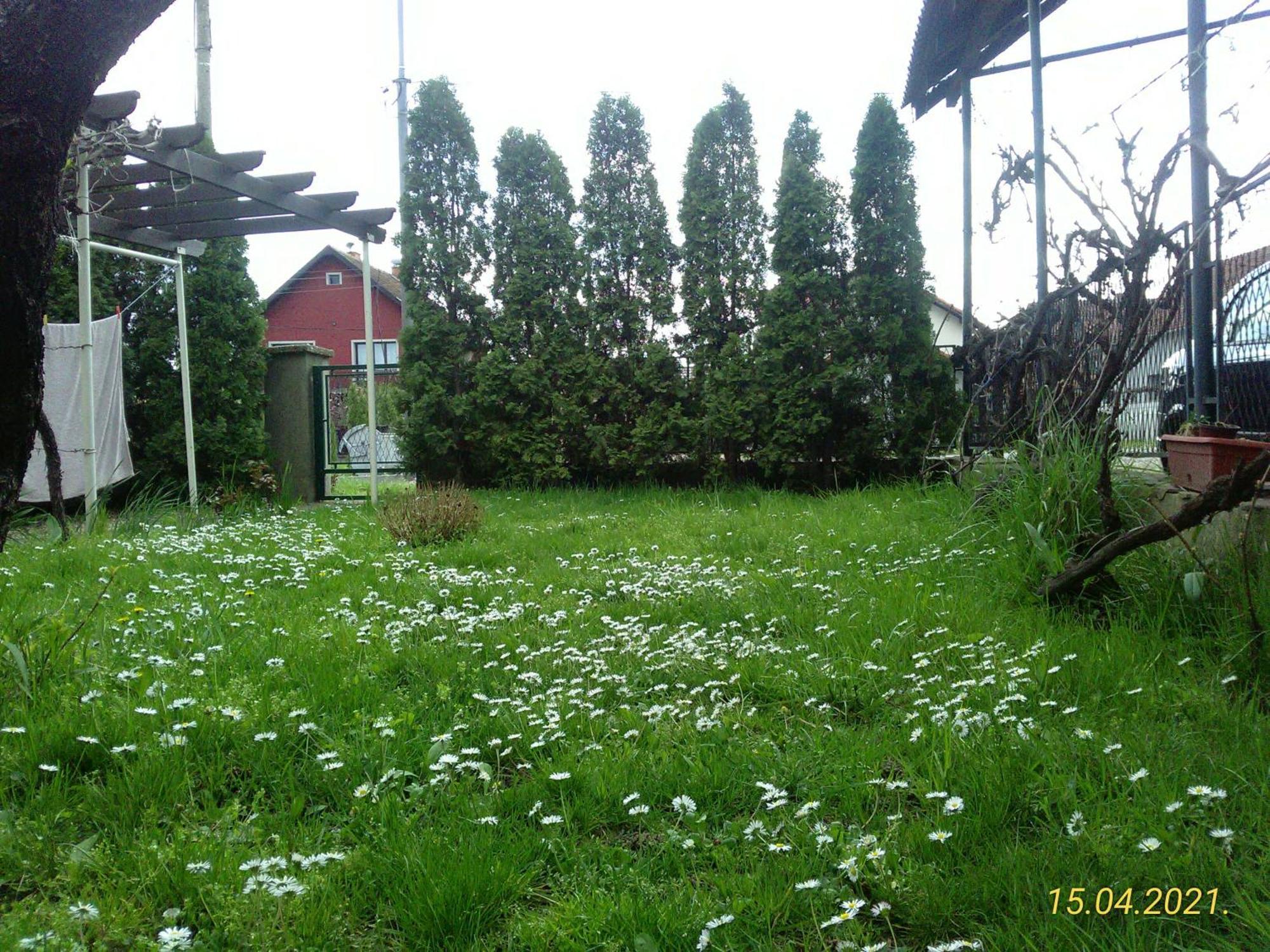 Kuca Za Odmor Jelena Apartment Kladovo Bagian luar foto