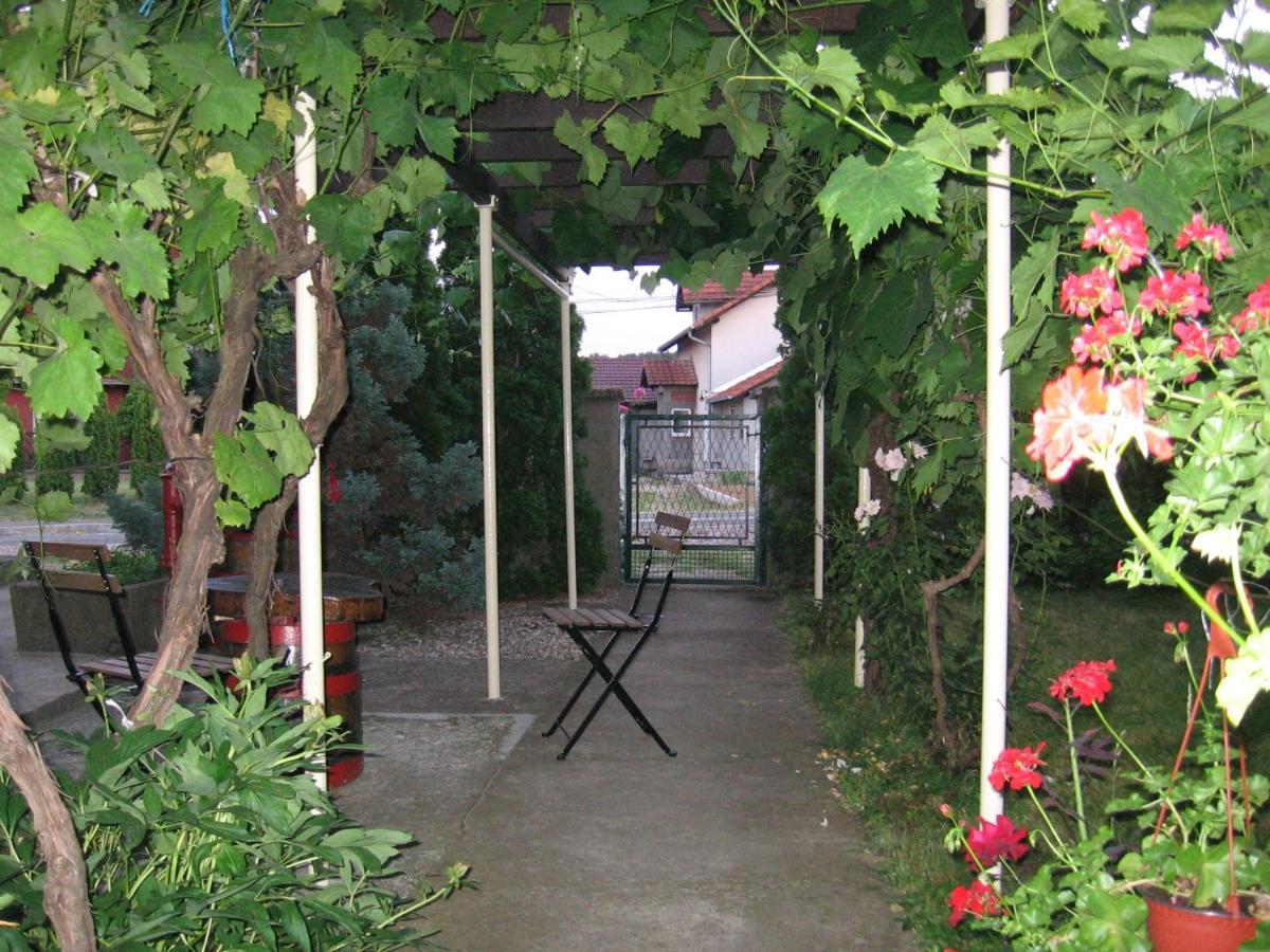 Kuca Za Odmor Jelena Apartment Kladovo Bagian luar foto