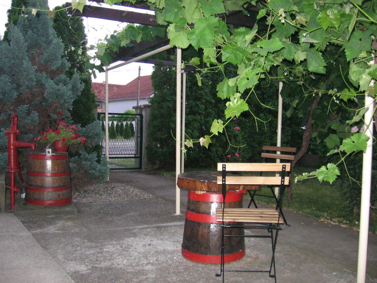 Kuca Za Odmor Jelena Apartment Kladovo Bagian luar foto
