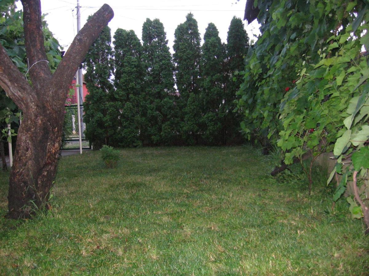 Kuca Za Odmor Jelena Apartment Kladovo Bagian luar foto