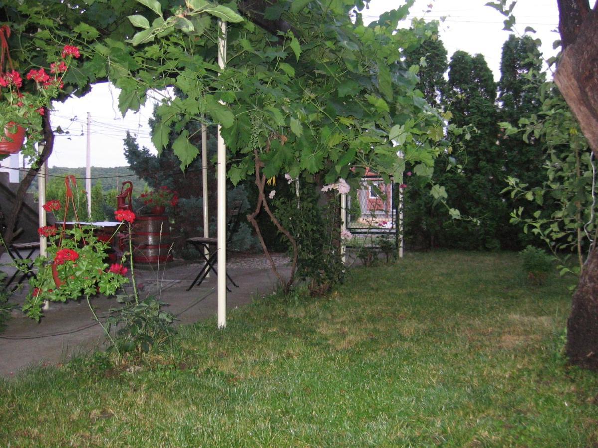 Kuca Za Odmor Jelena Apartment Kladovo Bagian luar foto